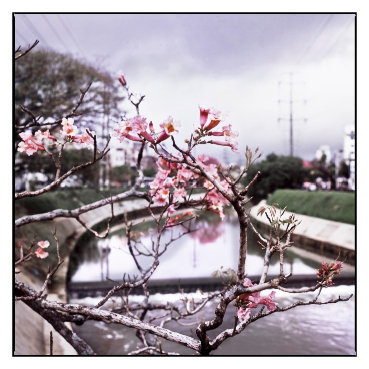 01.TODO SOBRE MI VIDA _ SOBRE TODO MI VIDA· Serena Salavdori©