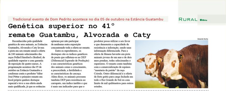 cadernopampa_14.09.2013