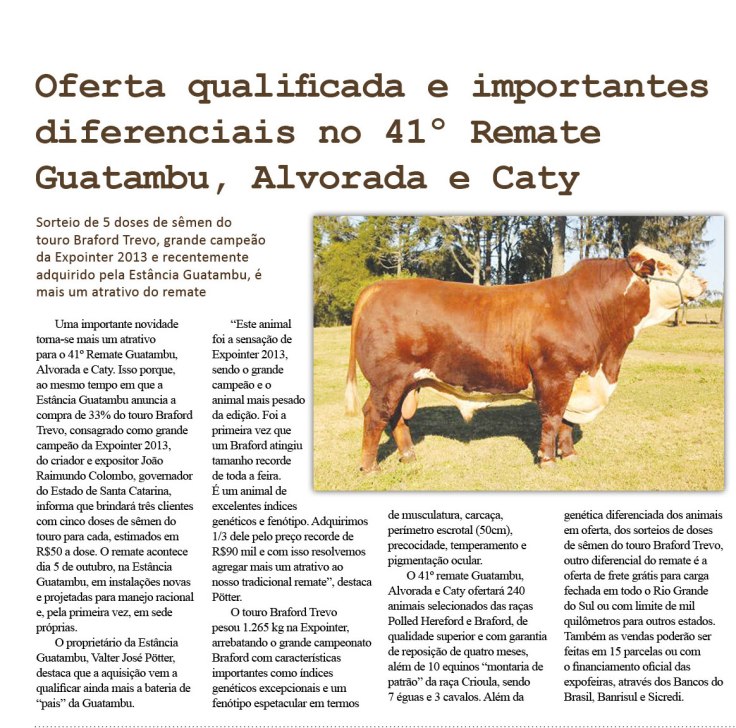 cadernopampa_28.09.2013