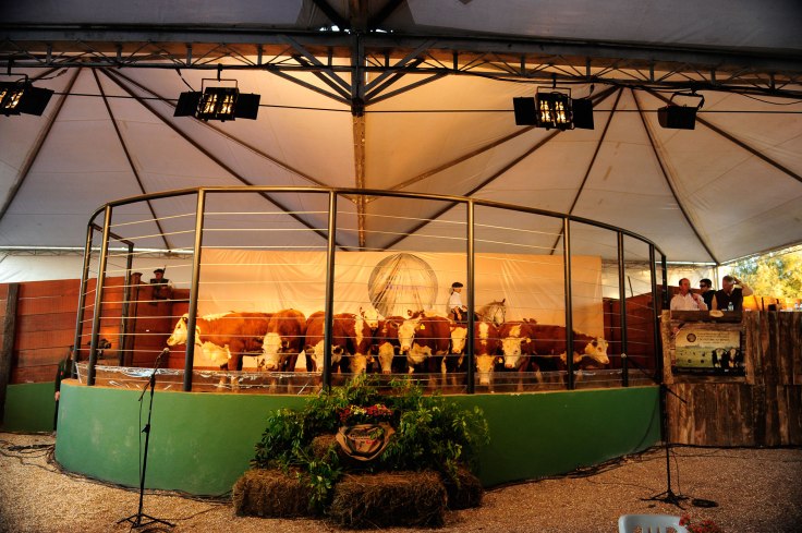 remateguatambu5_credito_alexandre_teixeira