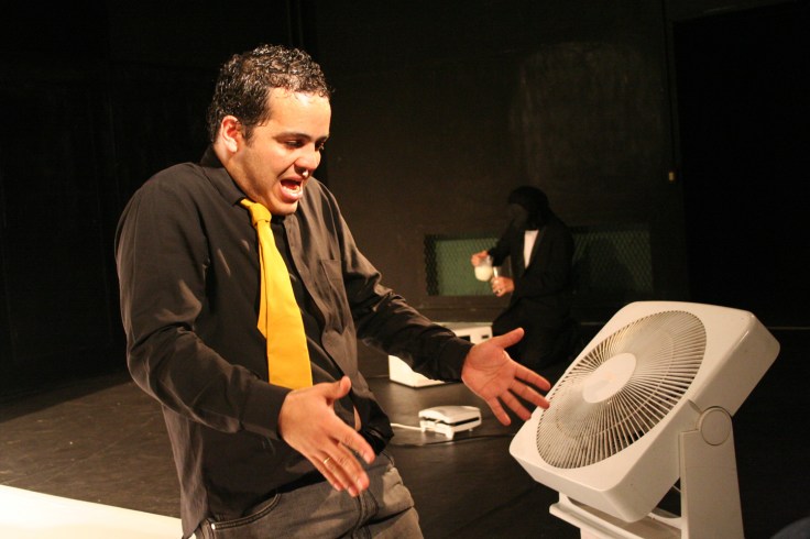 macacos2_credito_patricia_dyonisio(p0