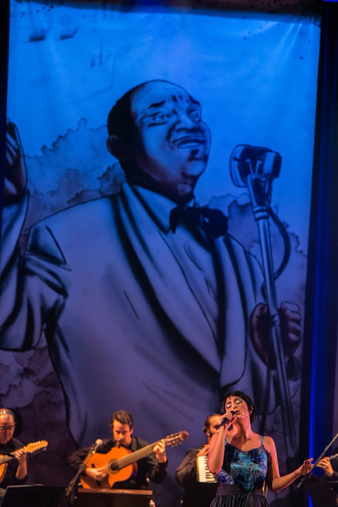 nanimedeiros_credito_danielscherer