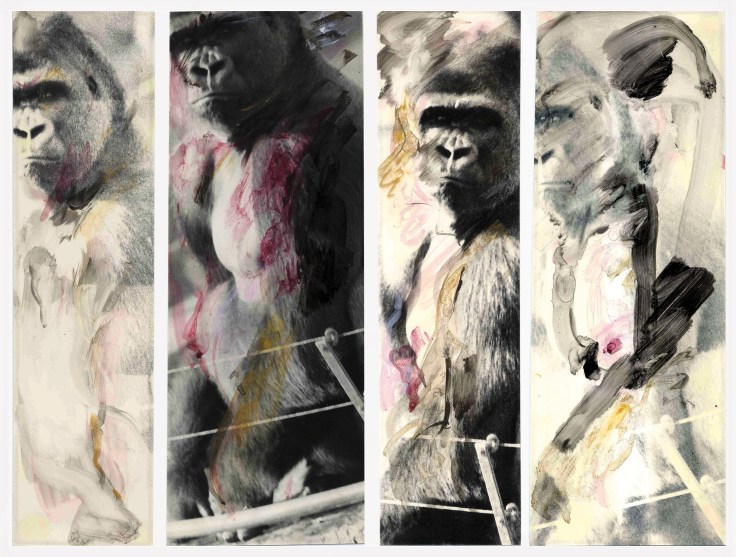 enigmas_verachavesbarcellos