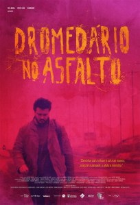 Dromedario_Photo_Low