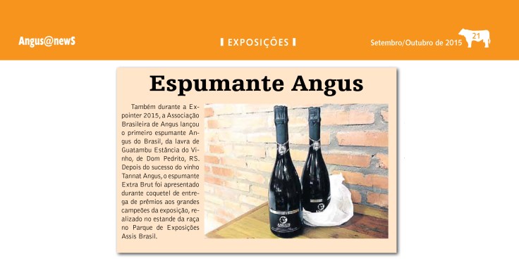 jornalangus_out2015