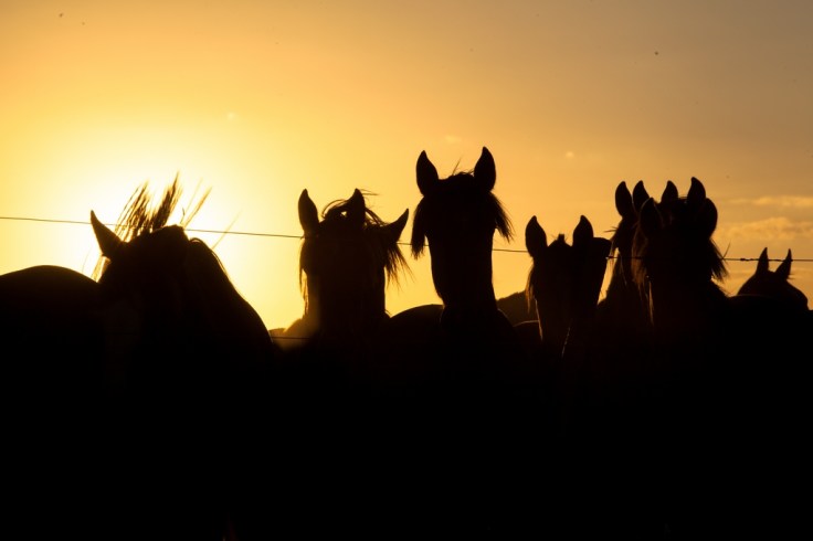 cabanhasaorafael_credito_joseguilhermemartini (2)