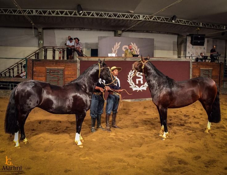 lotemaisvalorizado_creditojoseguilhermemartini