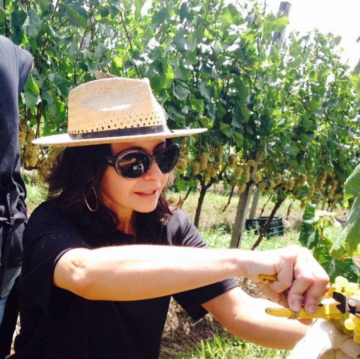 carlacarvalho_divulgacao