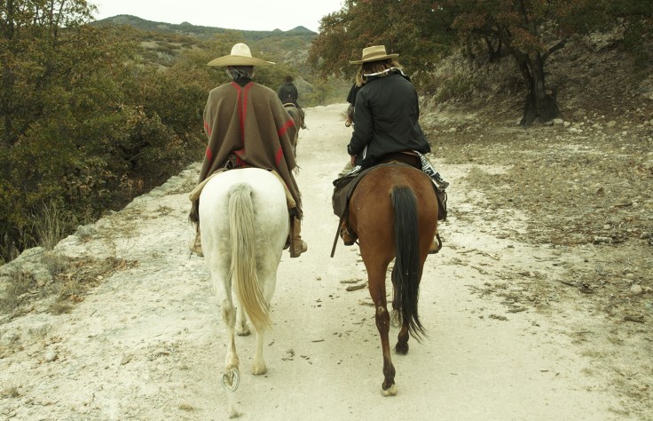 cavaleirosdapaz11a_creditocarlitobicca