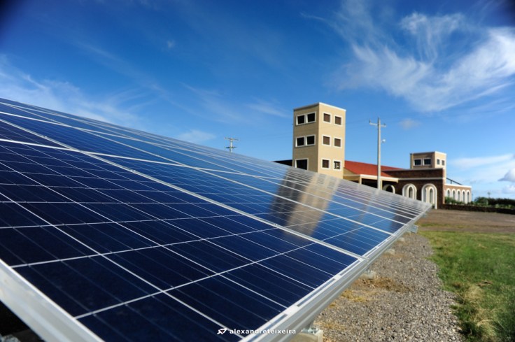 guatambu2_creditoalexandreteixeira