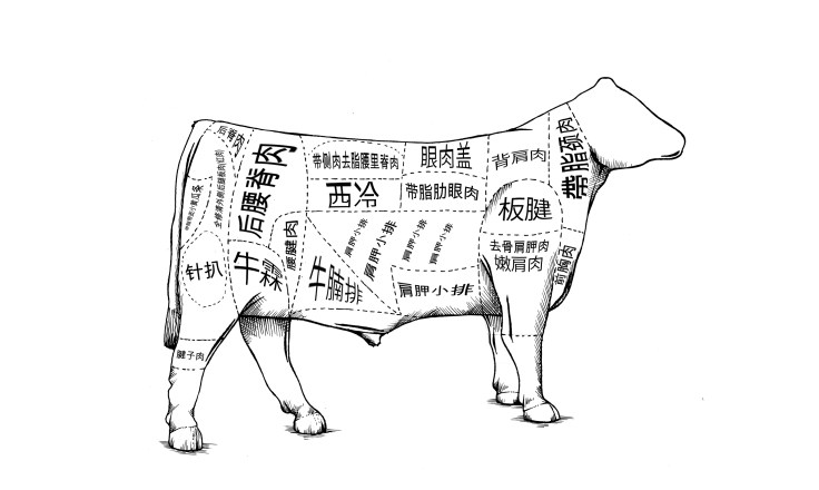 vacaemchines_angusvisual