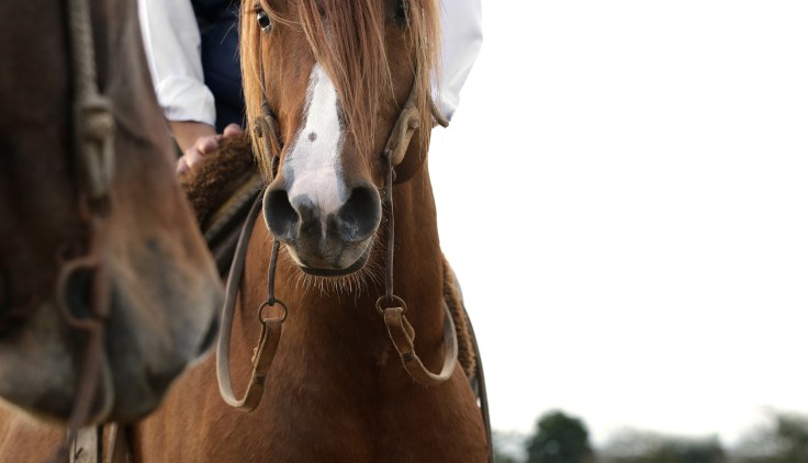 estancialiberdade_divulgacao3