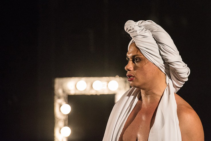 br-trans-48_caique-cunha