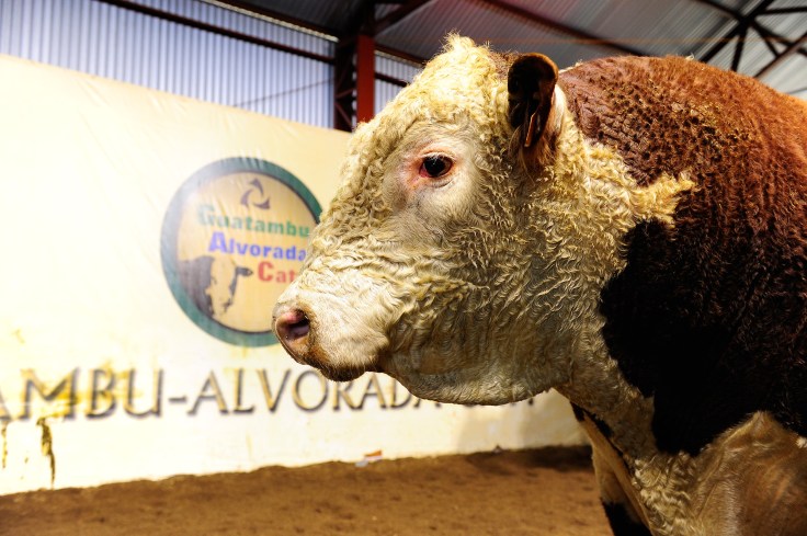 touroM1057_CREDITOALEXANDRETEIXEIRA (3).jpg