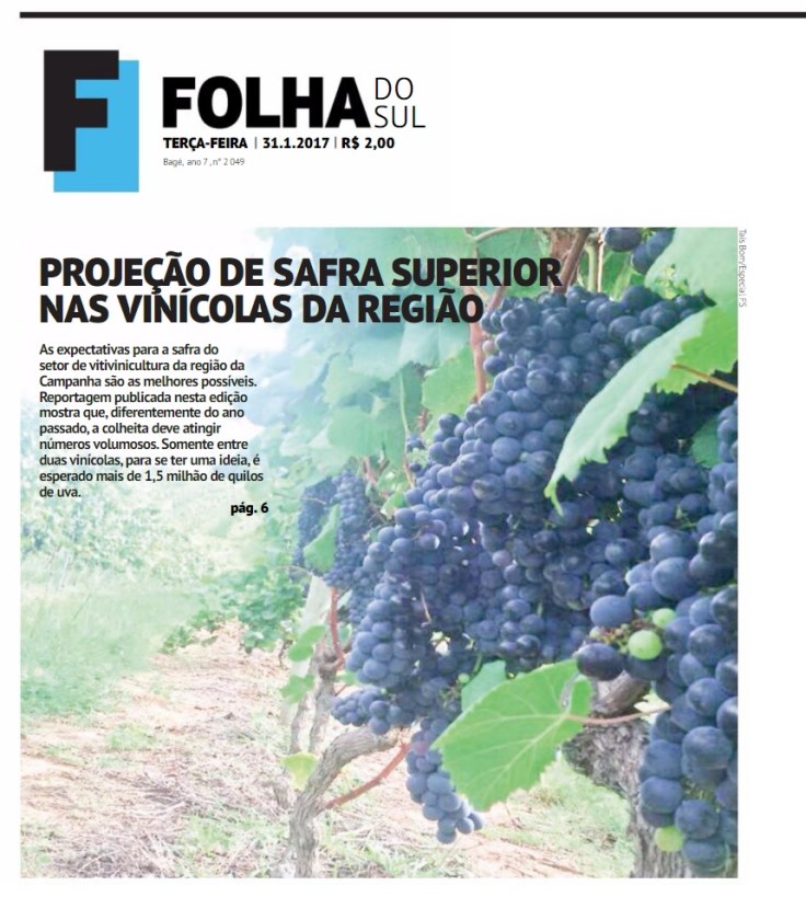 folhadosul2_31.01.17.jpg
