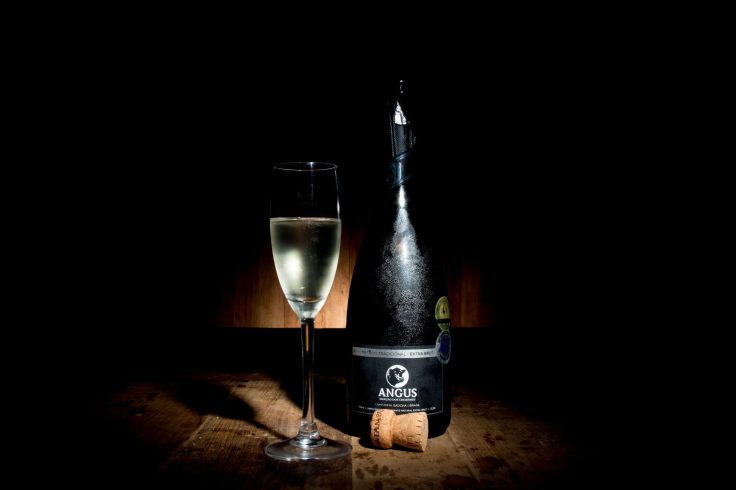 angus_creditoeduardorocha