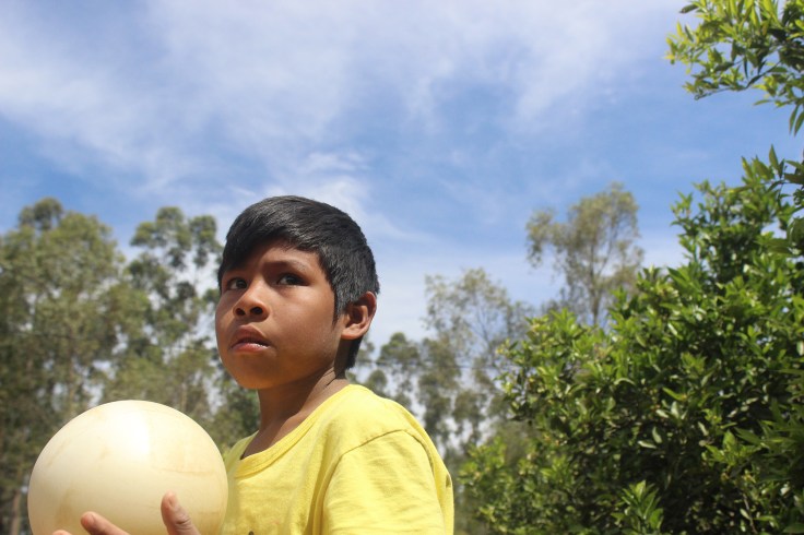 orerekoregua_divulgacao