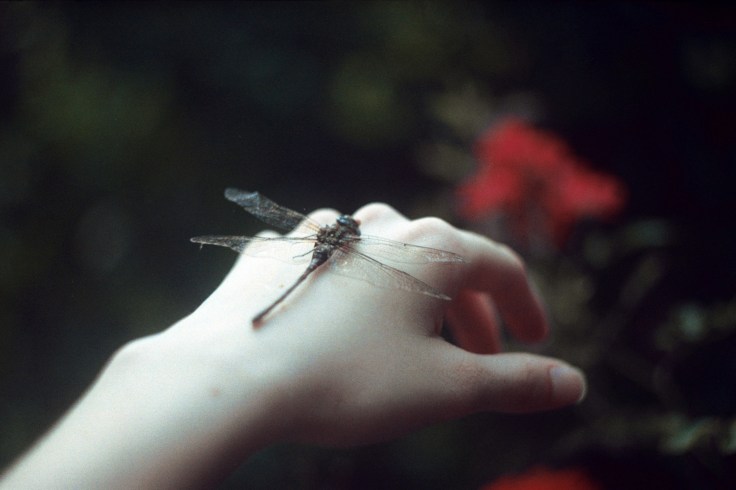 A leveza e o peso da transformação