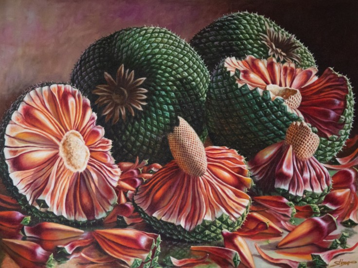 Selestino Oliveira (12)